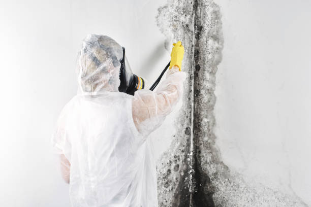 Trusted Altoona, IA Water damage restoration Experts